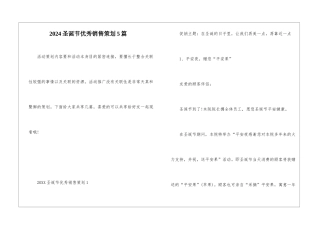 2024圣诞节优秀销售策划5篇