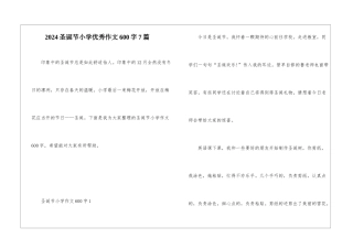 2024圣诞节小学优秀作文600字7篇
