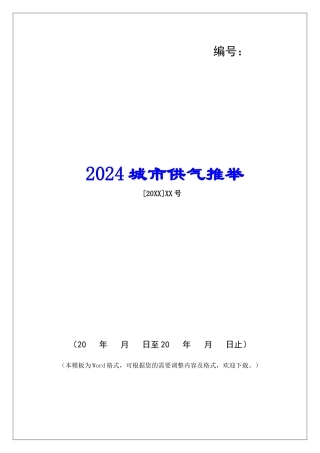 2024城市供气推荐