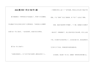 2024夏天初一作文700字5篇