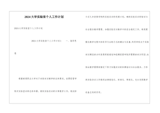 2024大学实验室个人工作计划
