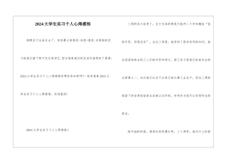 2024大学生实习个人心得感悟