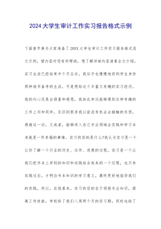 2024大学生审计工作实习报告格式示例-