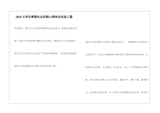 2024大学生寒假社会实践心得体会优选三篇