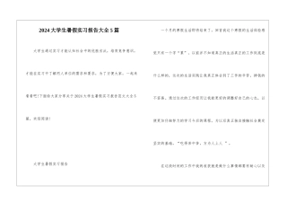 2024大学生暑假实习报告大全5篇