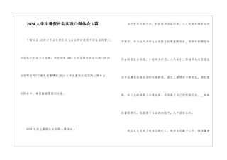 2024大学生暑假社会实践心得体会5篇