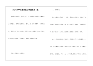 2024大学生暑期社会实践报告5篇