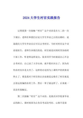 2024大学生村官实践报告