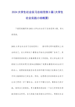 2024大学生社会实习总结范例3篇