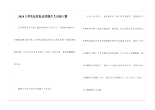 2024大学生社区社会实践个人总结5篇