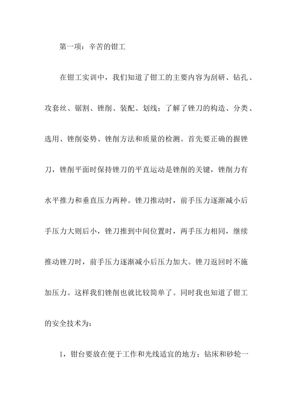 2024大学生钳工实习报告_第3页