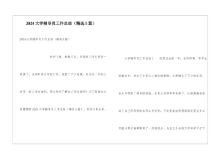 2024大学辅导员工作总结