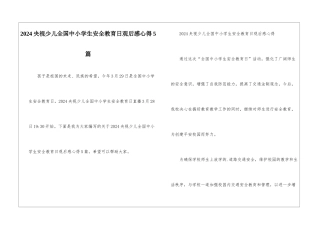 2024央视少儿全国中小学生安全教育日观后感心得5篇