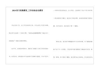 2024实习实践感言工作总结会议感言