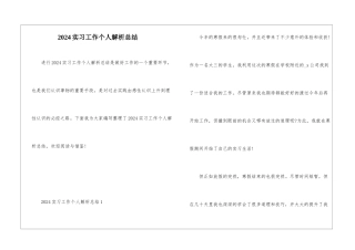 2024实习工作个人解析总结