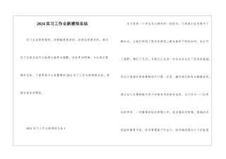 2024实习工作全新感悟总结