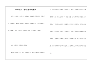 2024实习工作任务总结模板
