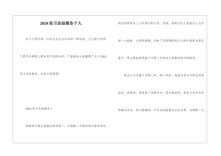 2024实习总结报告个人