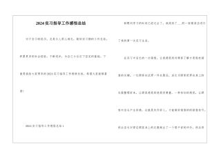 2024实习指导工作感悟总结