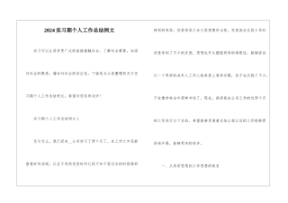 2024实习期个人工作总结例文