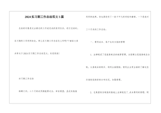 2024实习期工作总结范文5篇