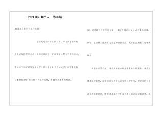 2024实习期个人工作总结
