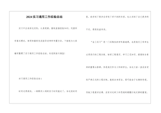 2024实习通用工作经验总结