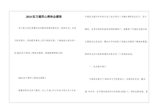 2024实习通用心得体会感悟
