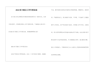 2024实习重点工作年度总结