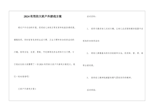 2024实用的大班户外游戏方案