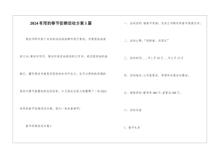2024实用的春节促销活动方案5篇