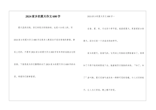 2024家乡的夏天作文600字