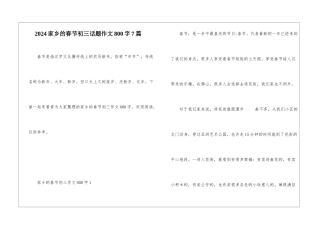 2024家乡的春节初三话题作文800字7篇