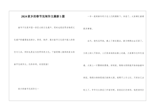 2024家乡的春节见闻作文最新5篇