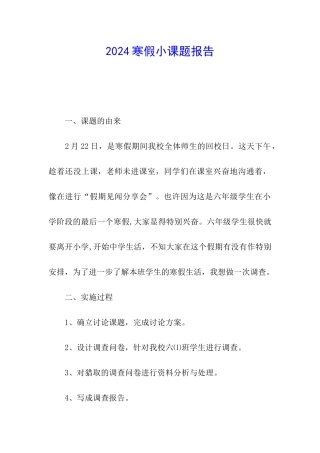2024寒假小课题报告