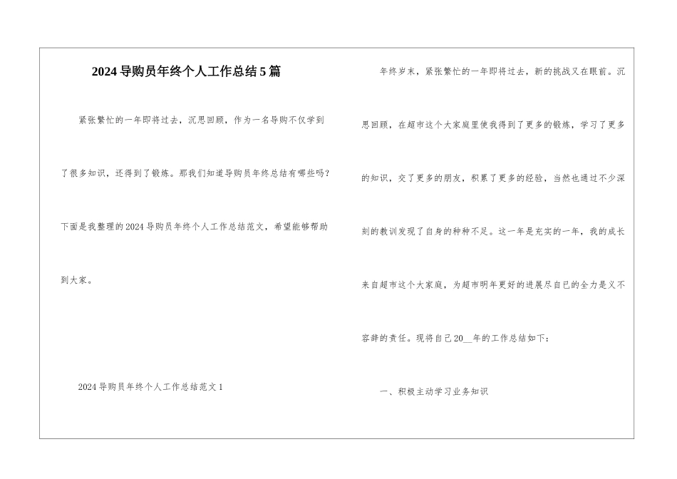 2024导购员年终个人工作总结5篇_第1页