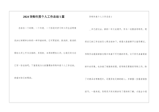 2024导购年度个人工作总结5篇
