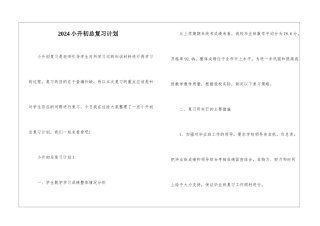 2024小升初总复习计划