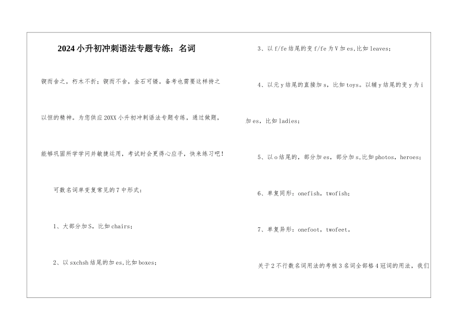 2024小升初冲刺语法专题专练：名词_第1页
