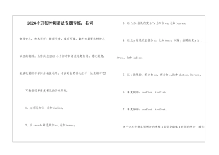 2024小升初冲刺语法专题专练：名词