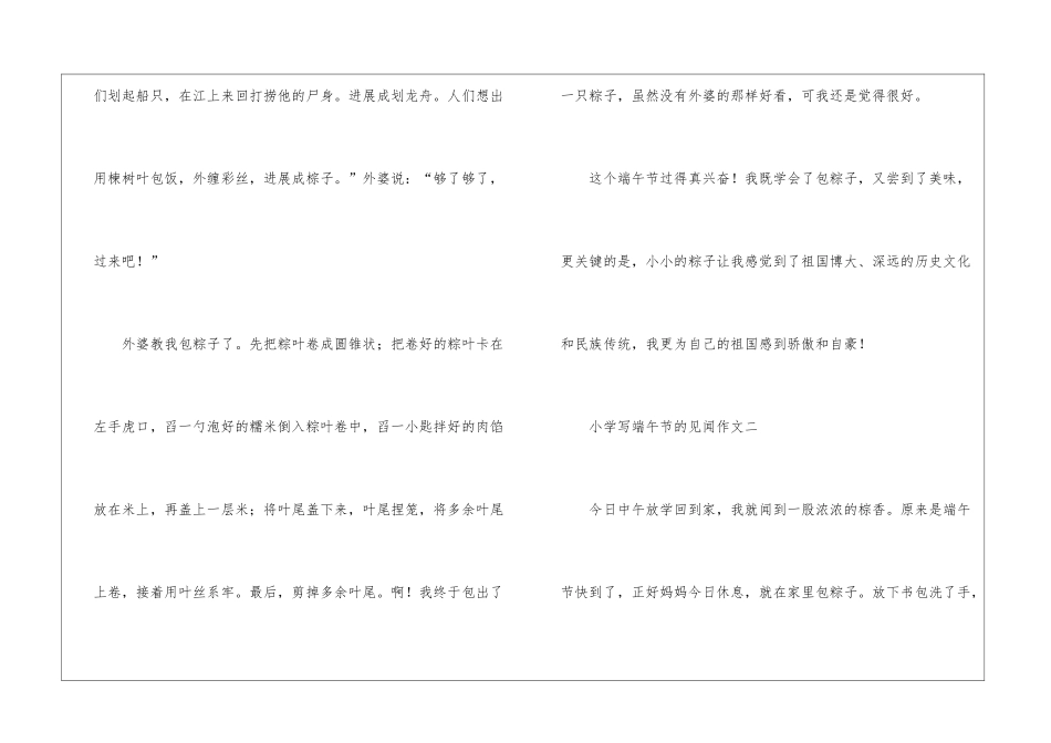 2024小学写端午节的见闻作文5篇_第3页