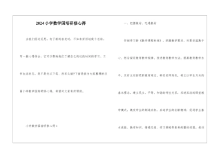2024小学数学国培研修心得
