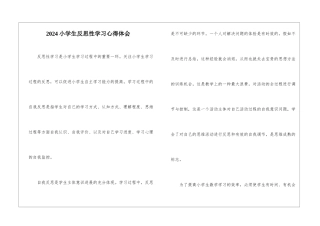 2024小学生反思性学习心得体会