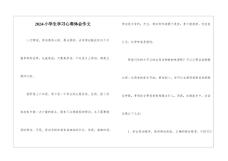 2024小学生学习心得体会作文
