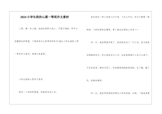 2024小学生我的心愿一等奖作文素材
