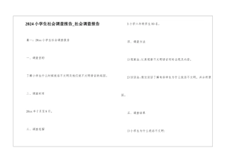 2024小学生社会调查报告-社会调查报告