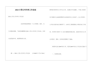 2024小贷公司年终工作总结