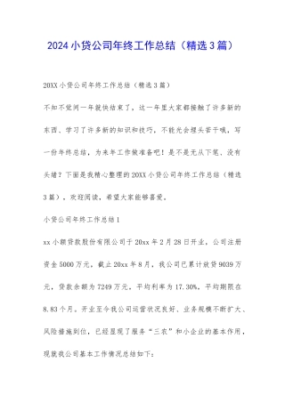 2024小贷公司年终工作总结-