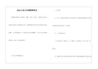 2024山东九年级物理考点