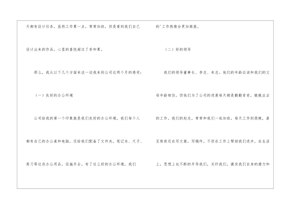 2024平面设计师工作小结_第2页